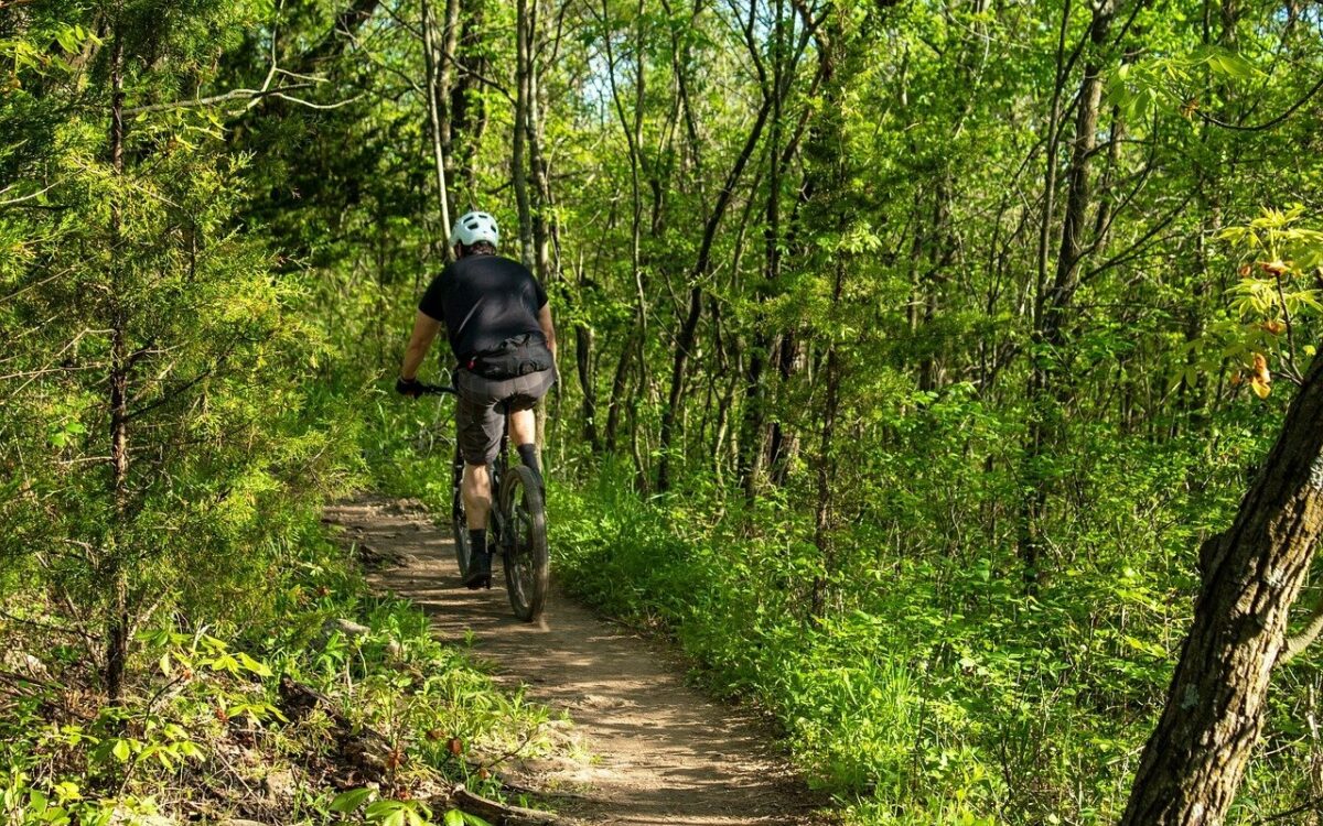 Mountainbike Mountainbike